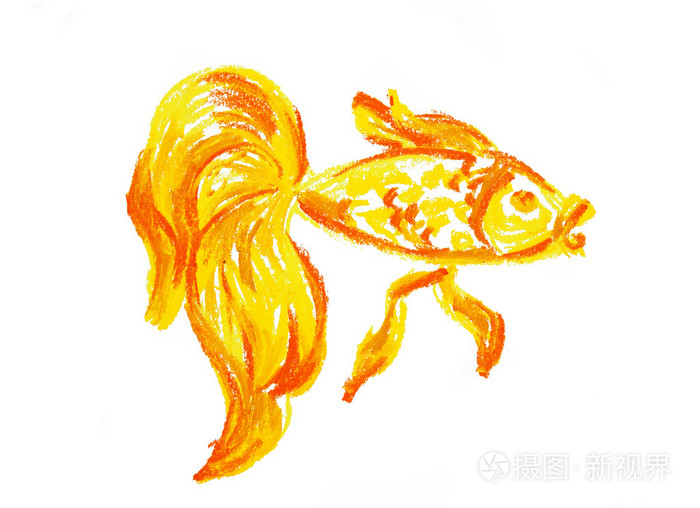 黄金鱼绘图隔离