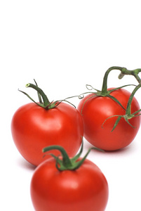 白色背景下分离的番茄