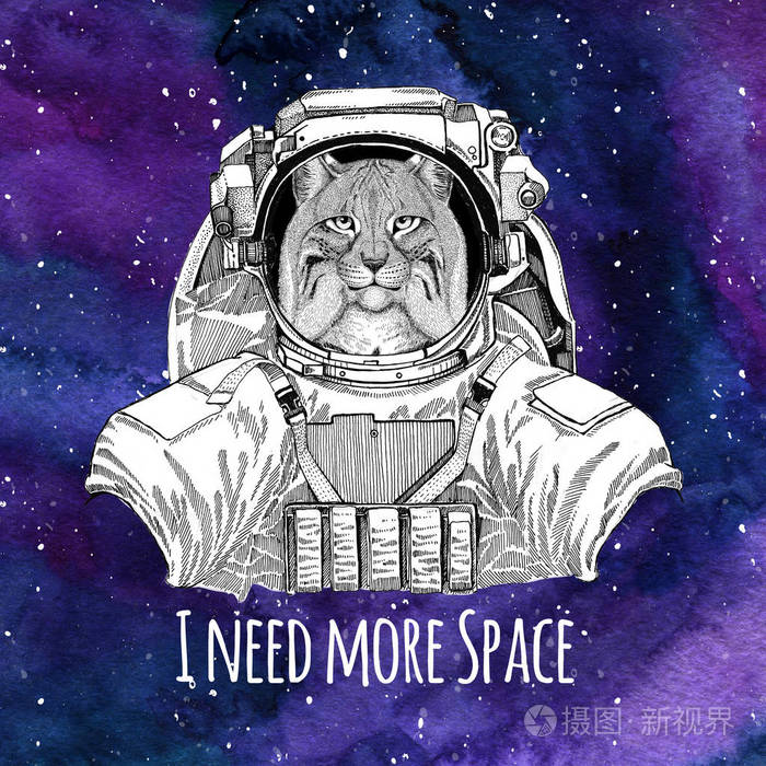 动物的宇航员野生猫猞猁山猫小跑穿着太空服银河空间背景恒星和星云水彩银河背景照片 正版商用图片0211yi 摄图新视界 动物的宇航员野生猫猞猁山猫小跑穿着太空服银河空间背景恒星和星云水彩银河背景照片 正版商用图片0211yi 摄图新视界