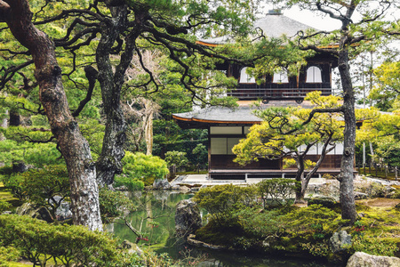 银阁寺 京都的老园林