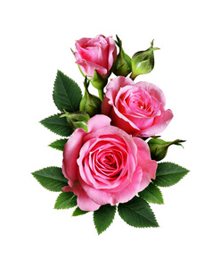 干月季粉红色的月季花花束照片