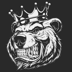 凶猛凶猛的熊头照片