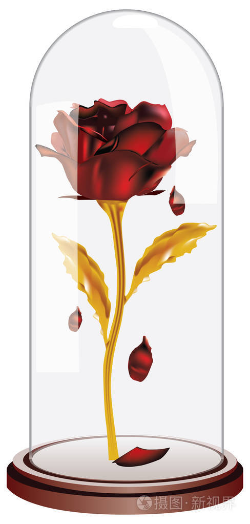 坠落的花瓣红玫瑰