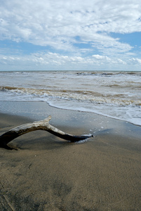 海景画图片