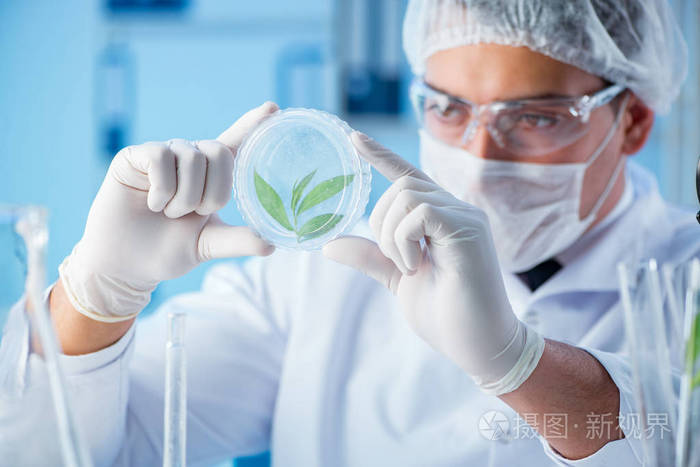 做实验的男性科学家研究员在实验室里