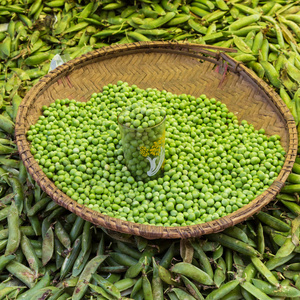 青豌豆，豌豆，在当地的食品市场出售