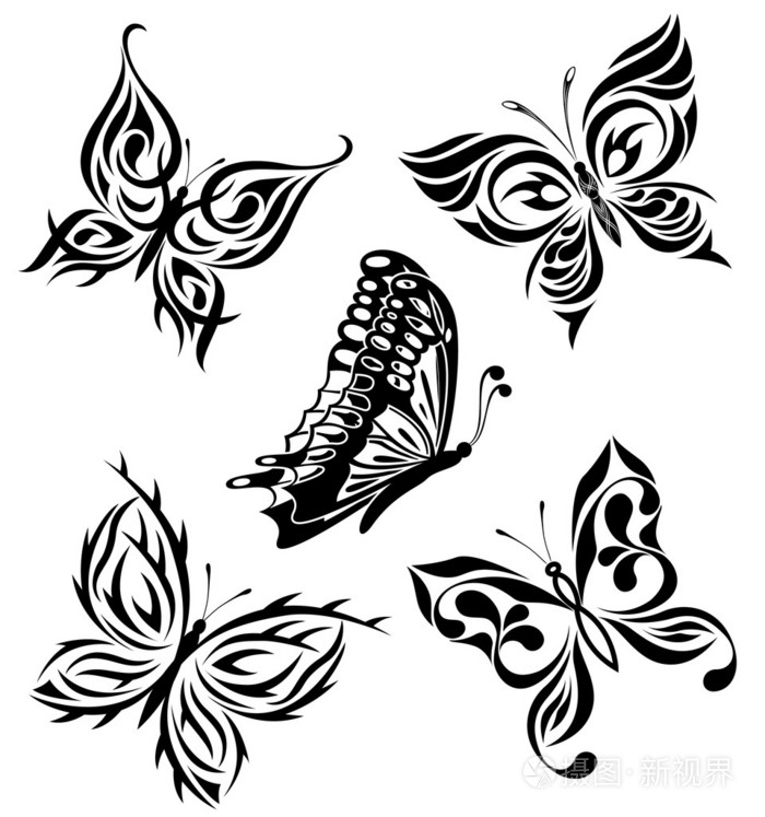 纹上一只黑白蝴蝶
