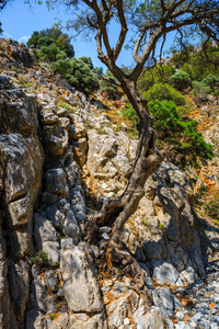 克里察峡谷附近在希腊克里特岛的伊拉克利翁