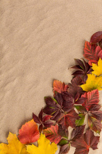 秋天的落叶与砂背景