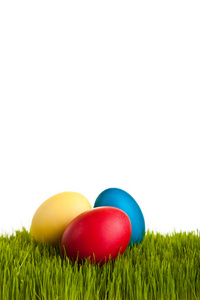 复活节彩蛋和鸡在绿草上的白色隔离背