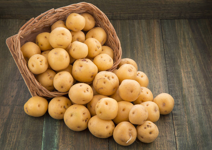黄薯Solanum Phure ja