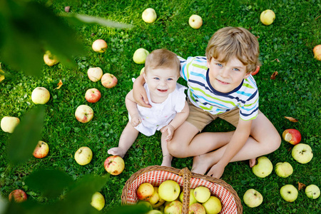 小女婴和学龄前孩子男孩玩耍在苹果园树