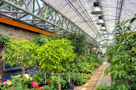 植物温室图片 植物温室素材 植物温室插画 摄图新视界 植物温室图片 植物温室素材 植物温室插画 摄图新视界