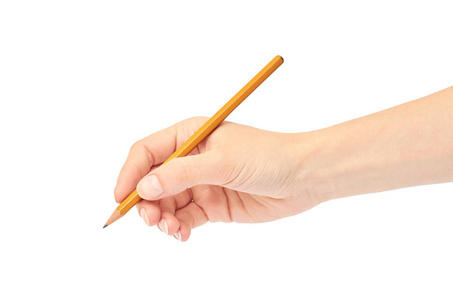 手拿一支玫瑰花女手拿一支铅笔.白色背景上孤立照片