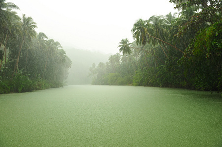 江面热带雨林