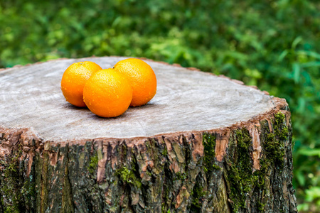 新鲜的成熟橘子在户外一个木制的树桩上。绿色背景