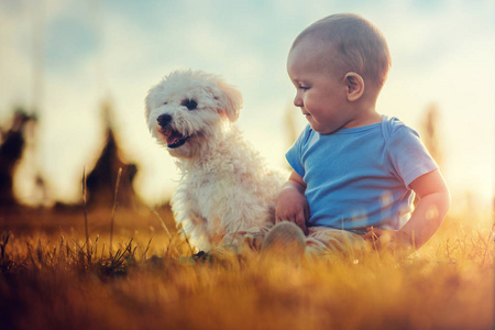 孩子坐在一起在草地上的狗