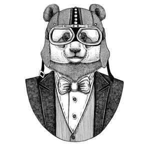 熊猫熊, 竹熊穿夹克与弓领带和车手头盔或 aviatior 头盔。优雅的摩托车手, 摩托骑手, 飞行员。图像为纹身, tshi