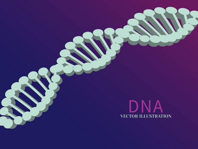 Dna 链3d 在蓝色背景上。科学的分子抽象概念。现实向量例证