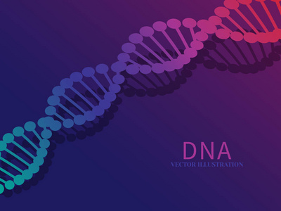 蓝色背景上的 Dna 链。科学的分子抽象概念。现实向量例证