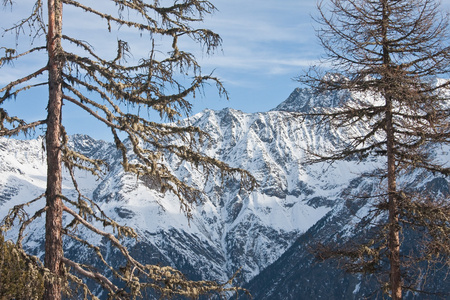 冬天雪下的山。 滑雪胜地萨登。 奥地利