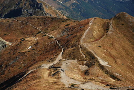 纹身山