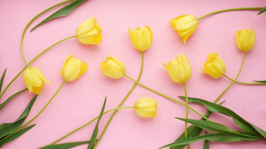 粉红色背景下的黄色郁金香花组成