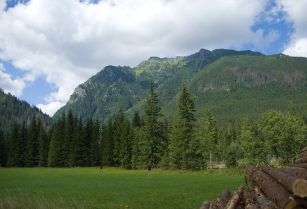 纹身山