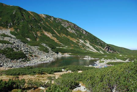 纹身山