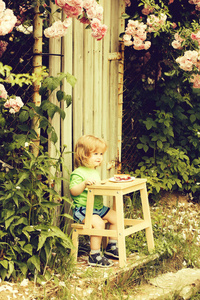 小男孩坐在木桌旁，吃馅饼户外与布什的粉红色的月季花颜色绿色的叶子的金色长发