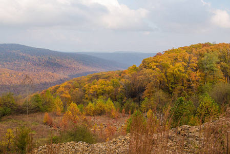 奥扎克国家森林中的秋季颜色