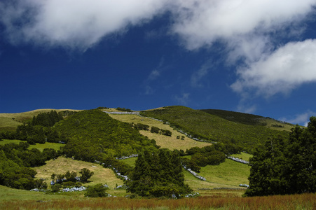 杜鹃花山