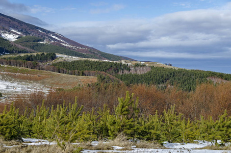 雄伟壮观的多云, 冬山, 白雪皑皑的空地, 针叶树和落叶林从扁平山向 Vitosha 山, 保加利亚, 欧洲