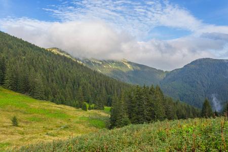 绿色山谷, 乌克兰, 喀尔巴阡山