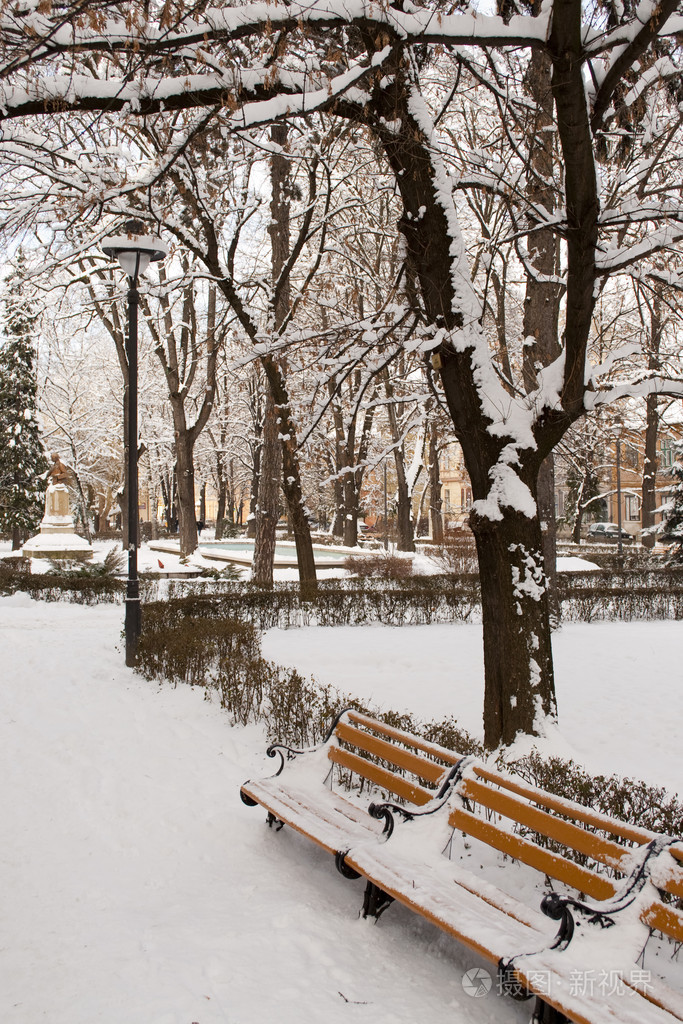 冬天的城市公园