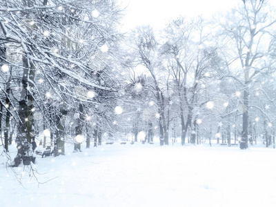 冬季降雪景观