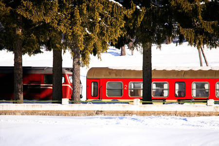 保加利亚 在下雪的日子里沿铁路线运输的火车