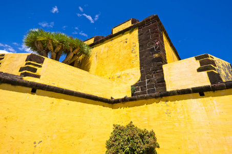 在丰沙尔的黄色堡垒, 马德拉岛