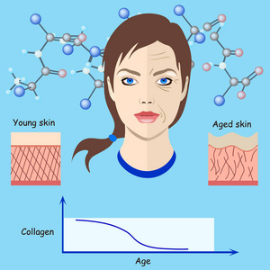 矢量的面孔和两个类型的皮肤岁和年轻人为医疗和美容的插图孤立，老化过程