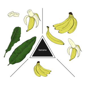一套水果 整根香蕉, 香蕉片和香蕉叶。六