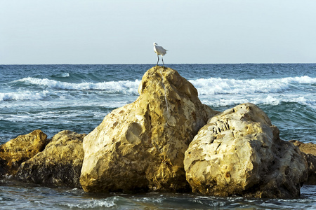 石海岸地中海图片