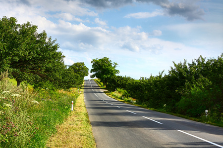 夏季道路