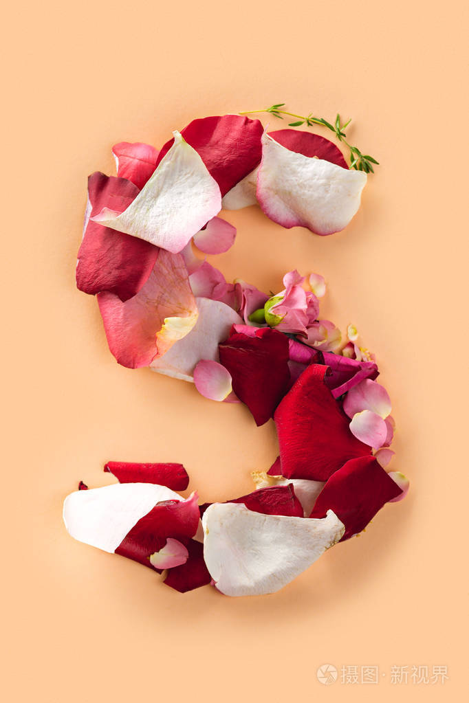 字母 s 由红玫瑰和孤立的白色背景上的花瓣
