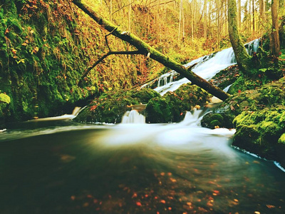 秋天瀑布在山涧。泡沫水落在苔藓巨石和 corful 叶子上