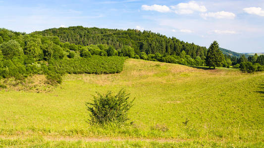 自然景观与地质公园 Vulkaneifel