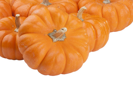 南瓜 pumpkin的名词复数  南瓜的果肉，南瓜囊
