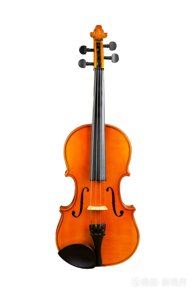 在白色背景上的小提琴