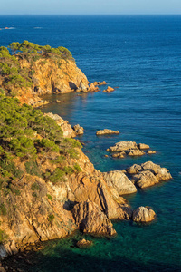 尼斯在哥斯达黎加的西班牙海岸细节, La Fosca