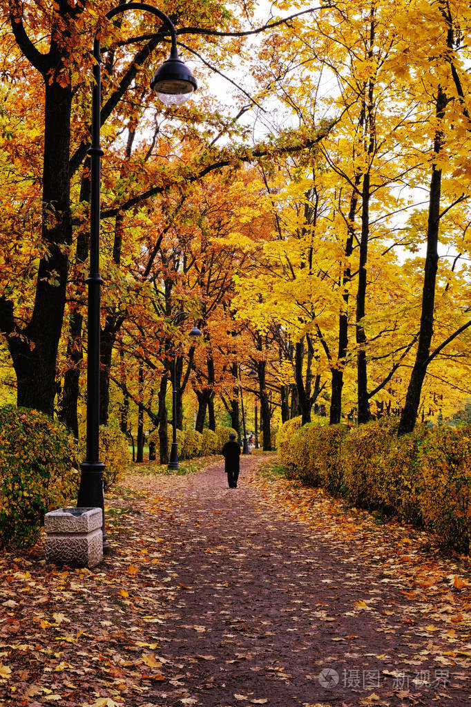 秋天风景城市公园