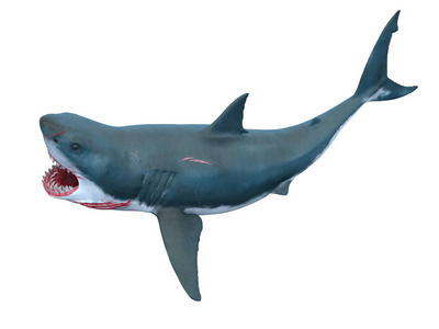 3d cg 渲染的鲨鱼照片